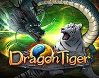 Dragon & Tiger SP